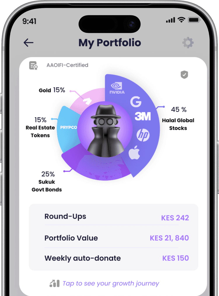 Mizan portfolio showing halal investments